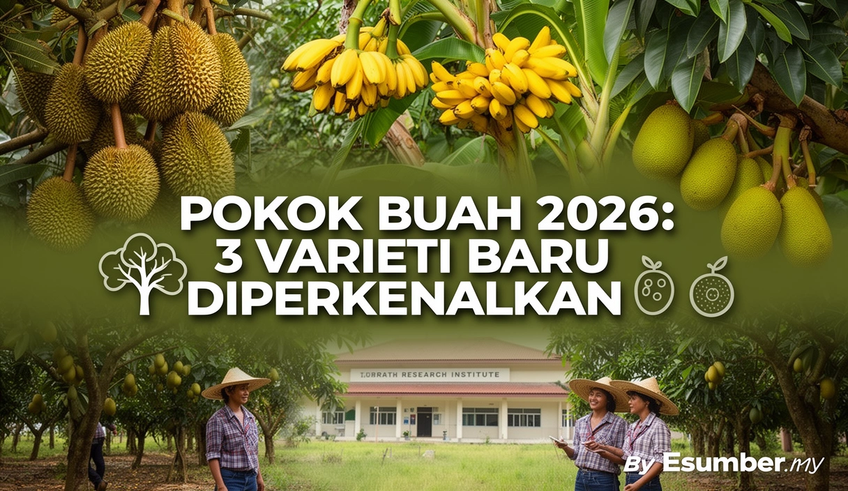 Pokok Buah 2026: 3 Varieti Baru Diperkenalkan