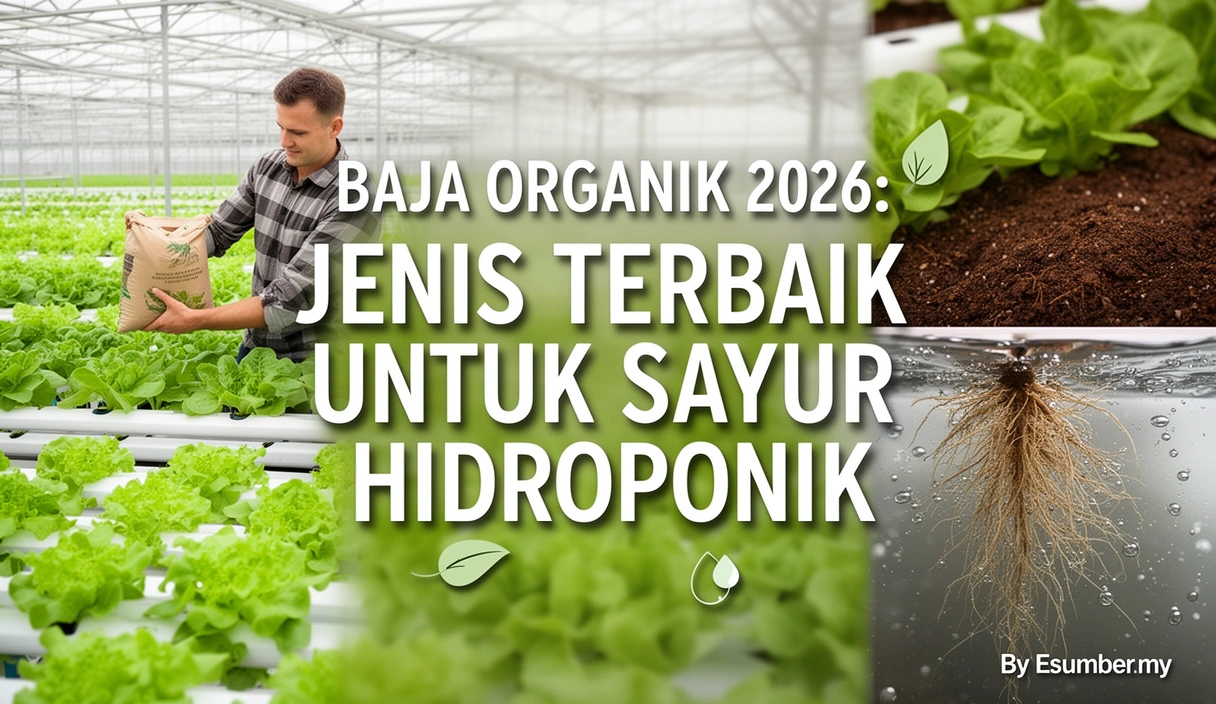 Baja Organik 2026: Jenis Terbaik untuk Sayur Hidroponik